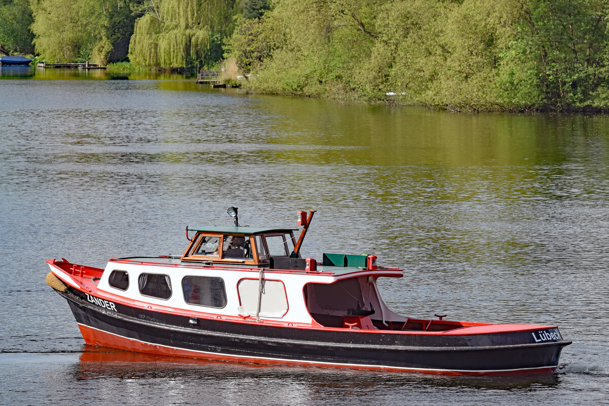 ZANDER auf der Wakenitz. Lübeck, 18.5.2021