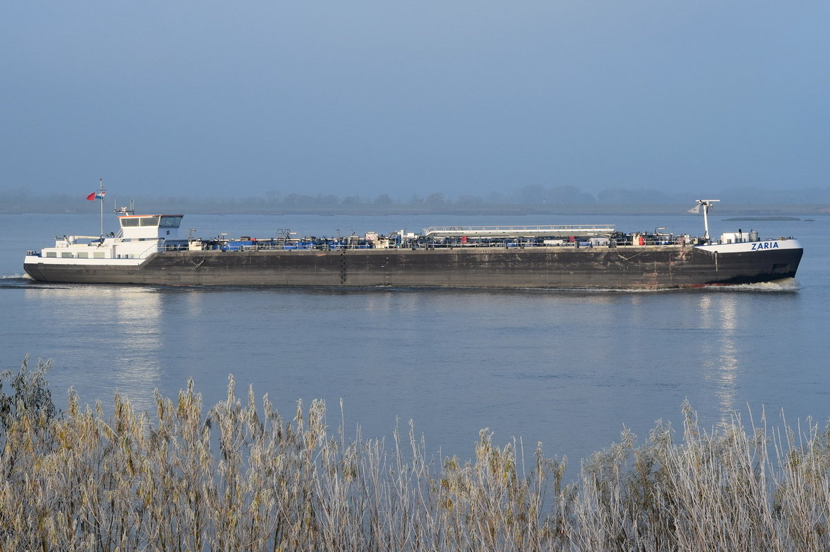 ZARIA , Binnentankschiff , IMO 9667289 , Baujahr 2012 , 86 × 11.5m , 12.11.2016 Grünendeich