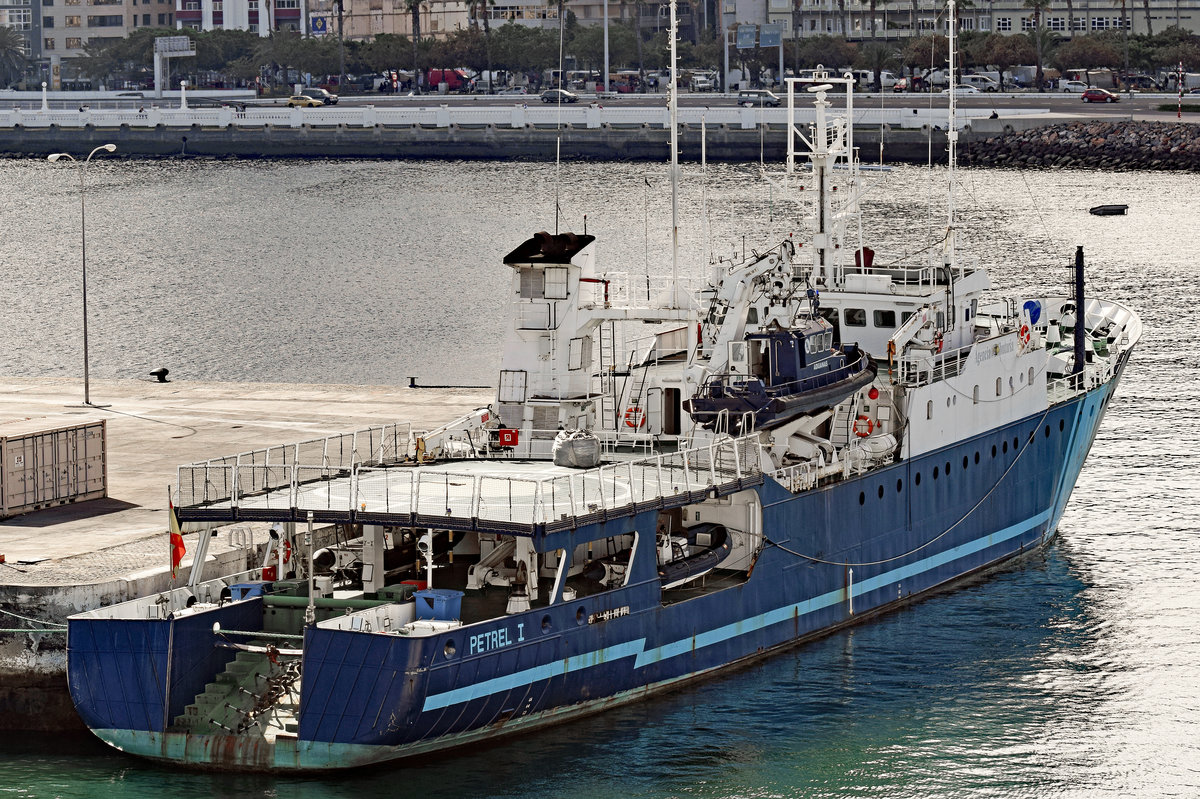 Zollboot PETREL I (IMO: 7385007) am 05.02.2017 im Hafen von Las Palmas de Gran Canaria 