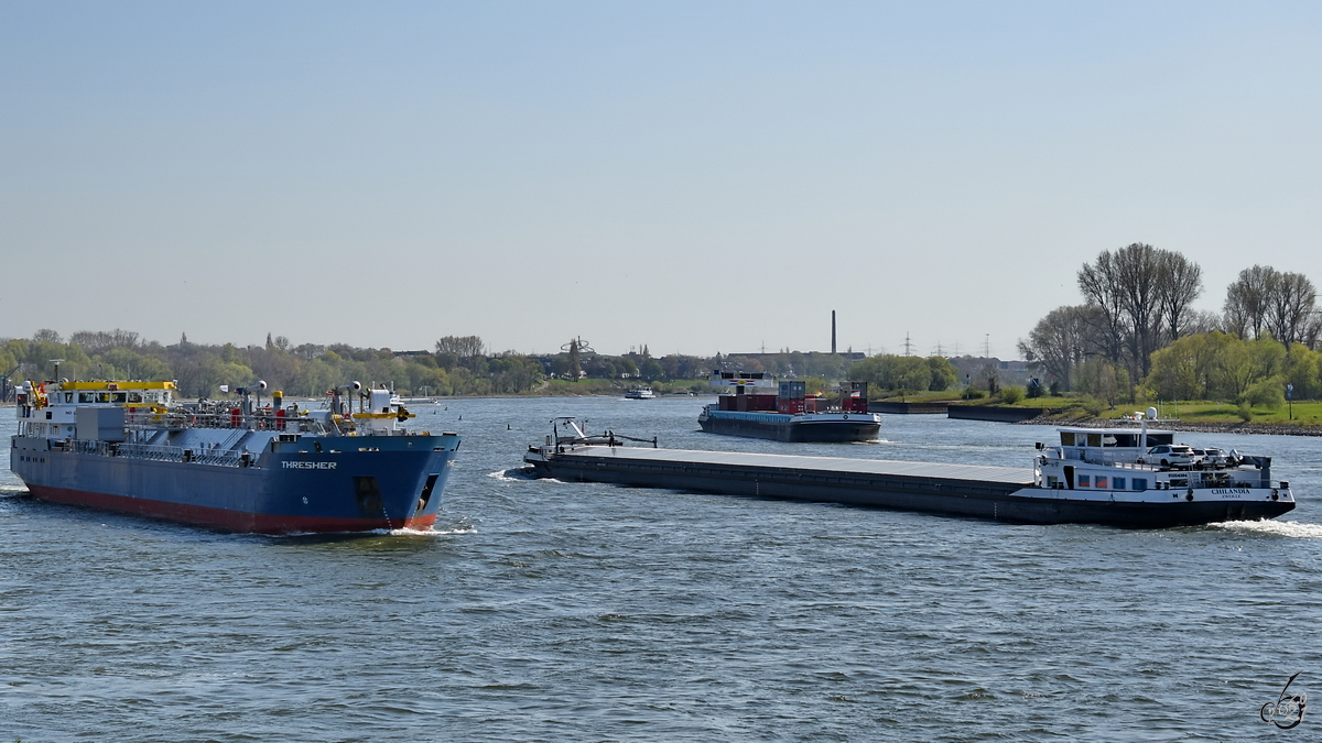 Zusammentreffen von THRESHER (ENI: 02321298), CHILANDIA (ENI: 02324394) & IVERNIA (ENI: 02331998) auf dem Rhein bei Duisburg. (April 2021) 