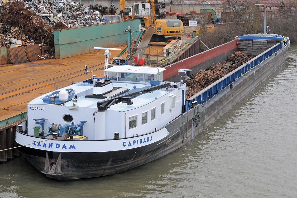 12.01.2023 CAPIBARA (0232344)im Hafen von Plochingen