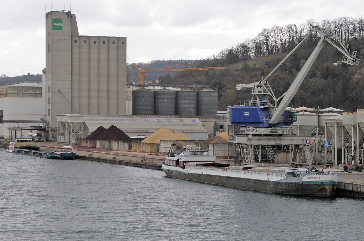 CREDENDO VIDES 3 (06001814) & SIGUENZA (205355890) zusammen in Plochingen 07.02.2024