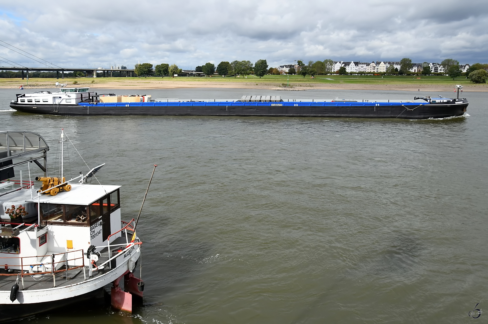 Das 1994 gebaute G�termotorschiff BORNRIF (ENI: 02321276) auf dem Rhein, so gesehen Anfang September 2026 in D�sseldorf.