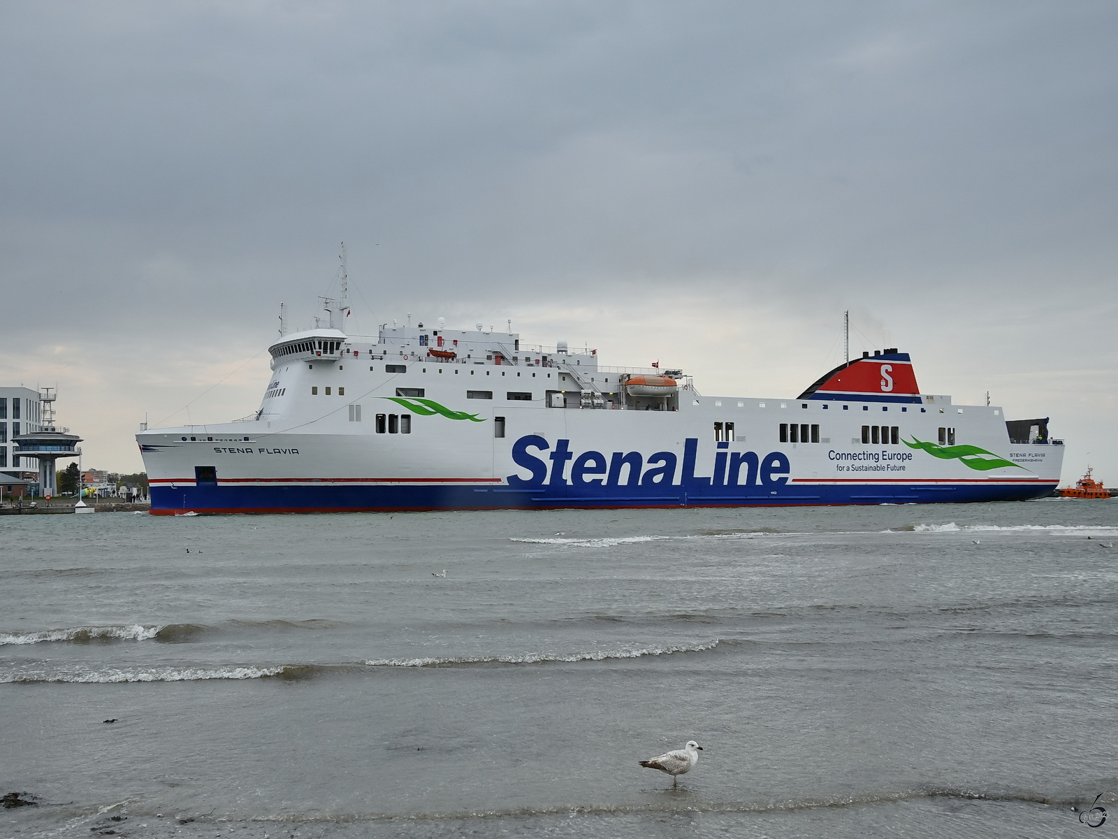 Das Fährschiff STENA FLAVIA (IMO: 9417919) ist hier im Mai 2023 bei der Ankunft in Travemünde zu sehen.