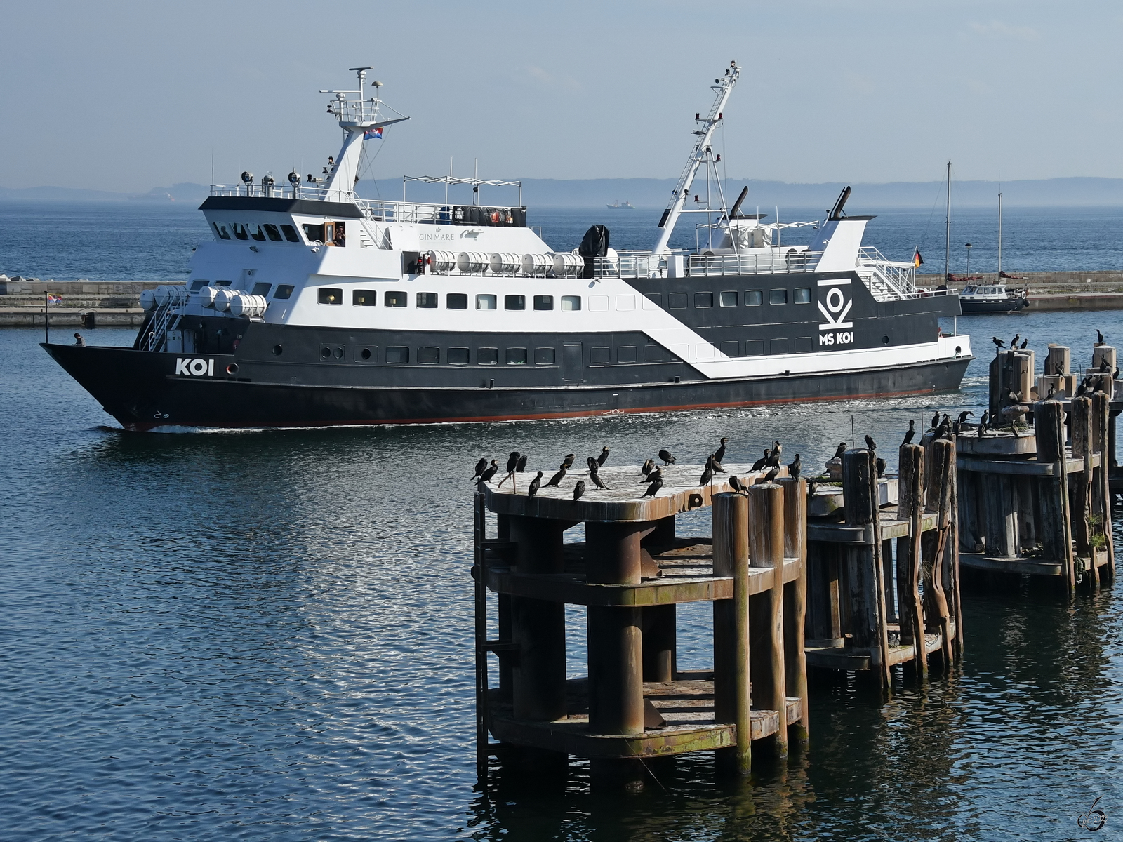 Das Fahrgastschiff MS KOI (IMO: 7928615) kehrt hier im August 2023 nach Sassnitz zurück.