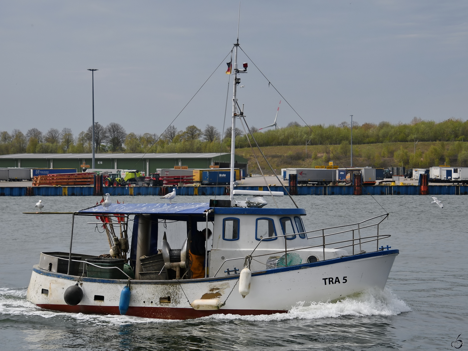 Das Fischereiboot TRA 5 schipperte im Mai 2023 die Trave entlang.
