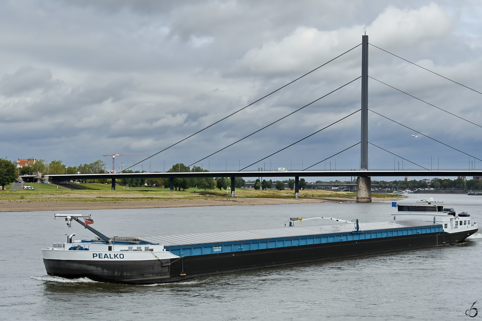 Das Frachtschiff PEALKO (ENI: 02330440) f�hrt rheinaufw�rts, bildlich festgehalten im September 2026 in D�sseldorf.