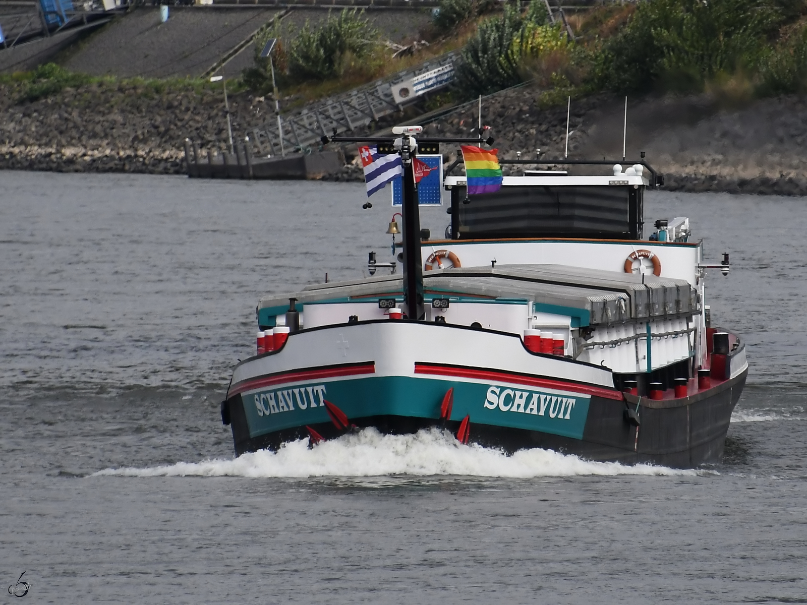Das G�termotorschiff SCHAVUIT (ENI: 02205074) f�hrt den Rhein hinauf, so gesehen Anfang September 2026 in D�sseldorf.