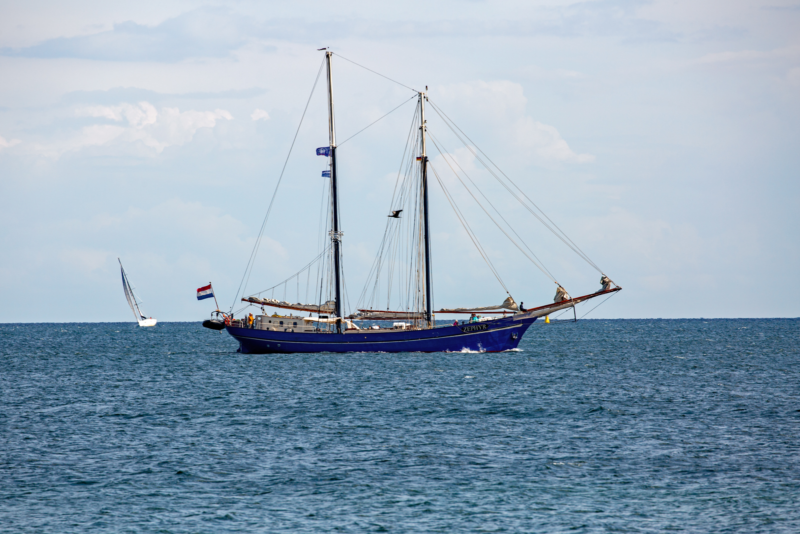 Der Traditionssegler ZEPHYR vor Rügen. - 26.07.2023