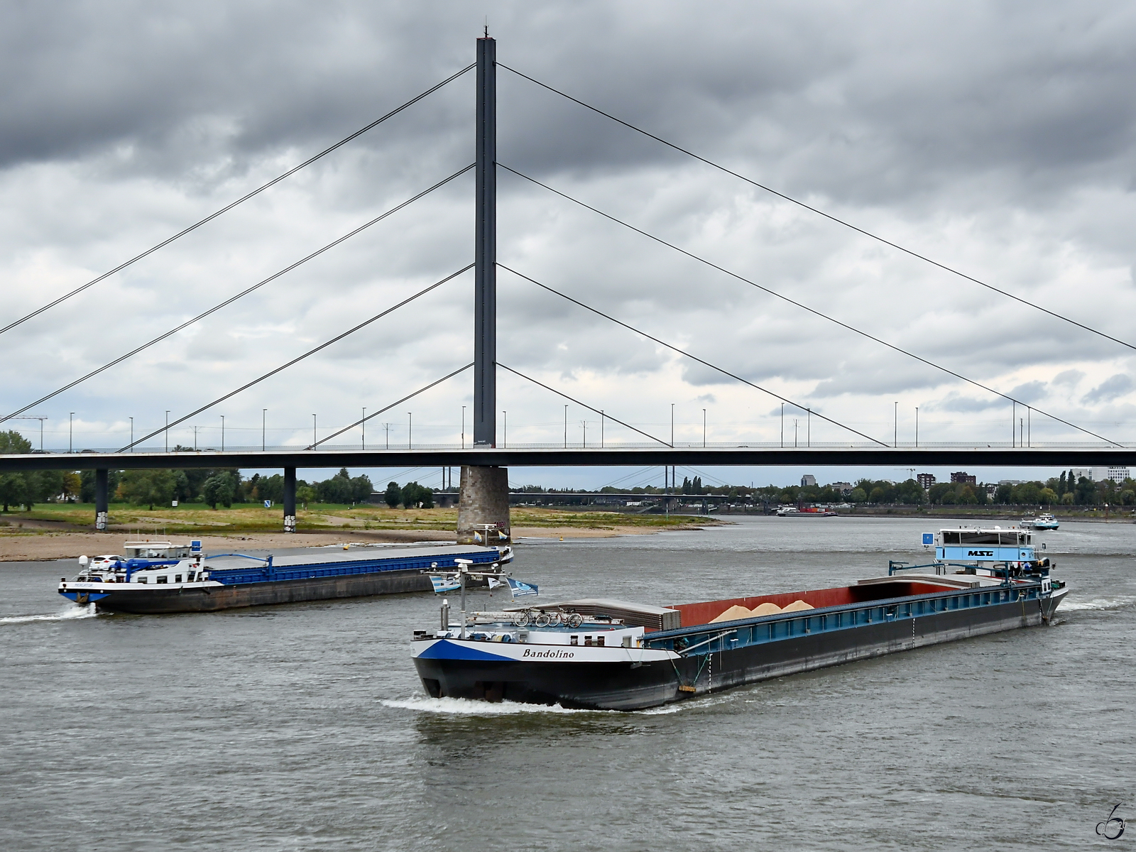 Die Frachtschiffe BANDOLINO (ENI: 04502460) und MERCATOR (ENI:05501730) begegnen sich auf dem Rhein, so gesehen Anfang September 2026 in D�sseldorf.