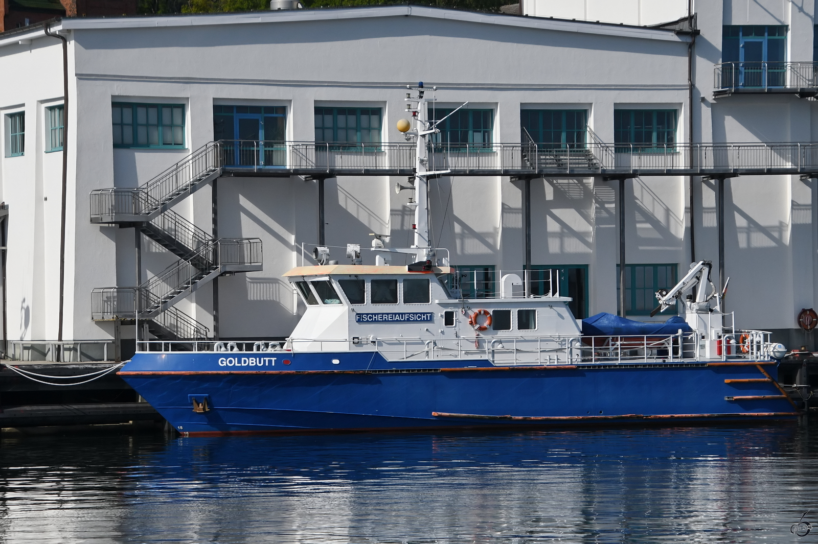 Die GOLDBUTT ist ein Schiff der Fischereiaufsicht und ist hier Mitte August 2023 im Stadthafen Sassnitz zu sehen.