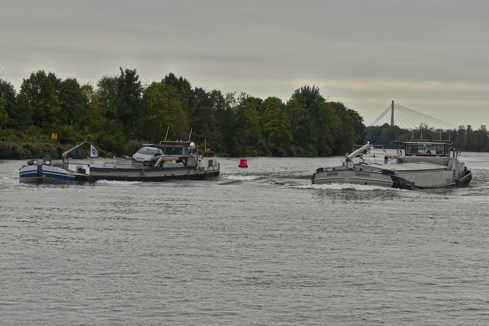 GMS Zwerver, 02314046, beim Versuch das GMS Asteria auf der Maas zu passieren, zu Tal nahe Maastricht. 18.09.2025