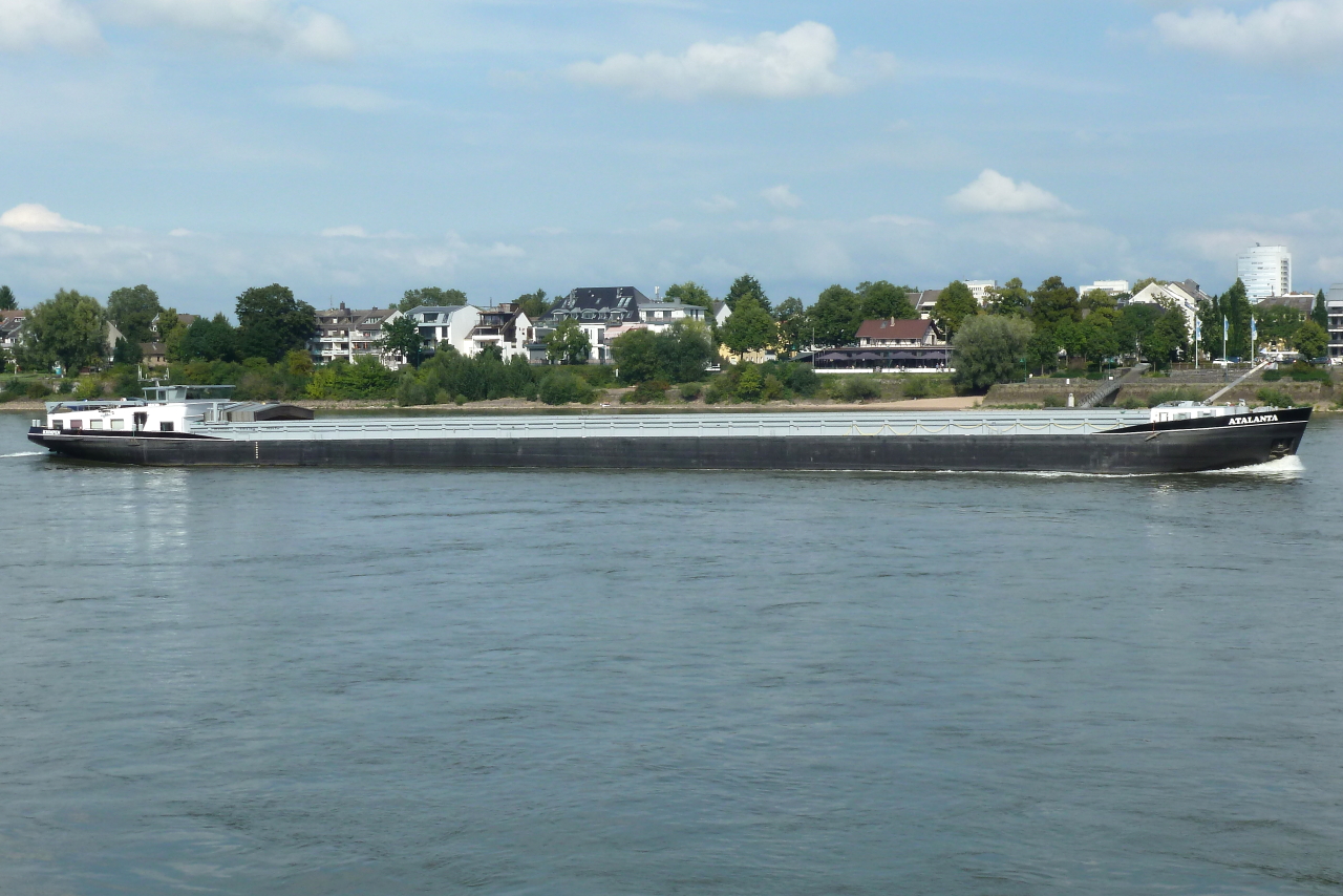 Gütermotorschiff ATALANTA (ENI: 02328205), Flagge:NL, Bj. 2006, rheinaufwärts bei Bonn am 17.08.2023.