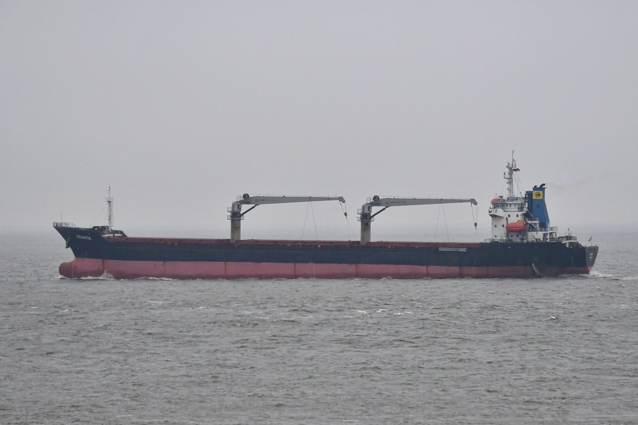 SENATA , Bulk Carrier, IMO 9451575 , 140 x 20 m , Baujahr 2008 ,  Cuxhaven - Alte Liebe , 11.04.2025 ,