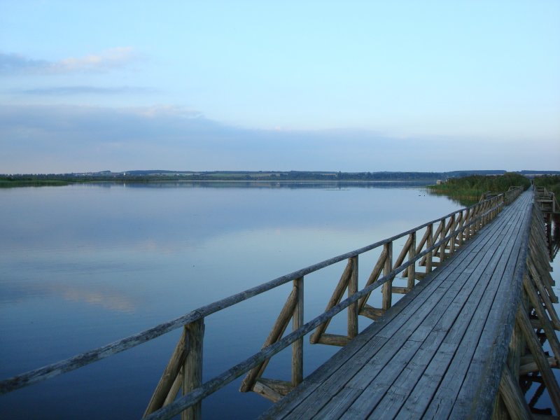 Abendstimmung am Federsee bei Bad Buchau/Oberschwaben Aug.2008