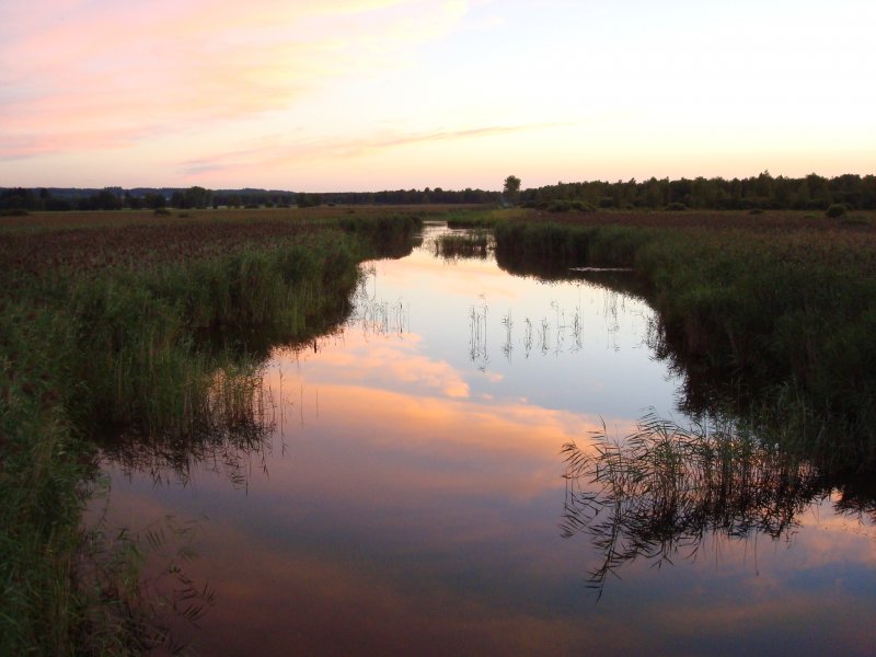 Abendstimmung am Federseekanal,
knstlich geschaffener Abfluss zur Wasserregulierung am Federsee/Oberschwaben,
Aug.2008 