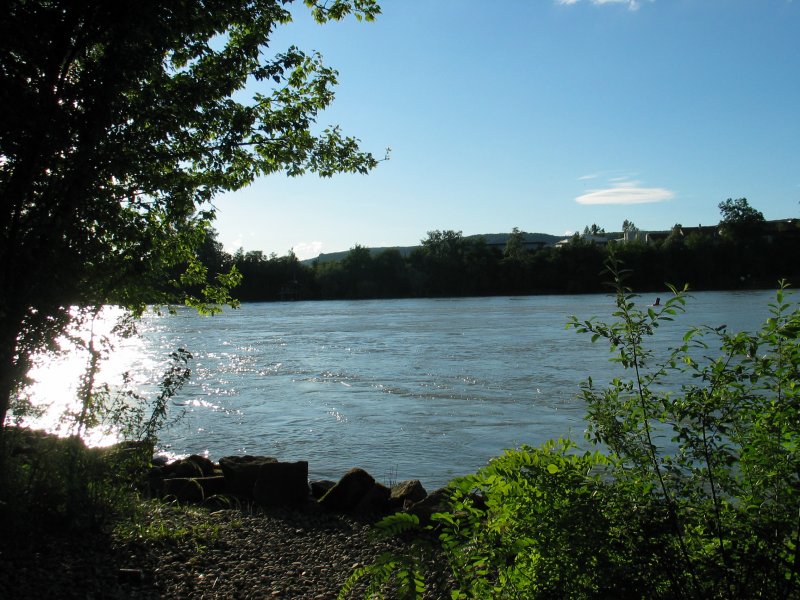 Abendstimmung am Rhein bei Augst Baselland