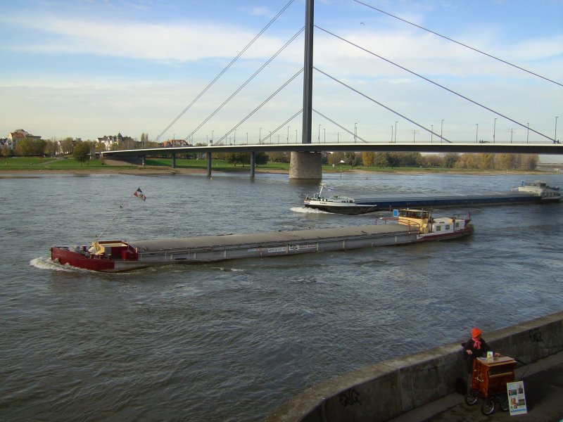 Am 02.11.2008 sind zwei Frachtschiff stromaufwrts an der Oberkasseler Brcke in Dsseldof unterwegs.