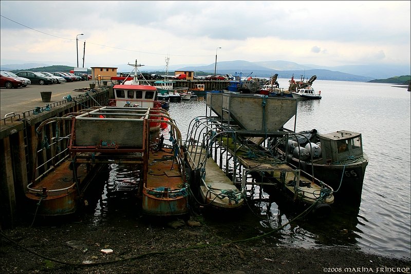 Am Hafen von Bantry, Irland Co. Cork