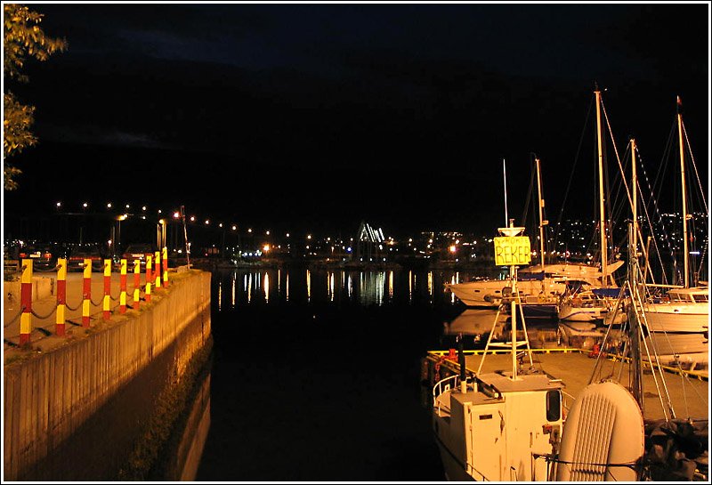 Am Hafen von Troms: Am 2. September ist es um 22.00 hier auch schon sehr dunkel. In Bildmitte ist die Eismeerkathedrale zu sehen, die Lichtpunkte links davon sind die Straenlaternen auf der Tromsbrua.
2004 (Matthias)