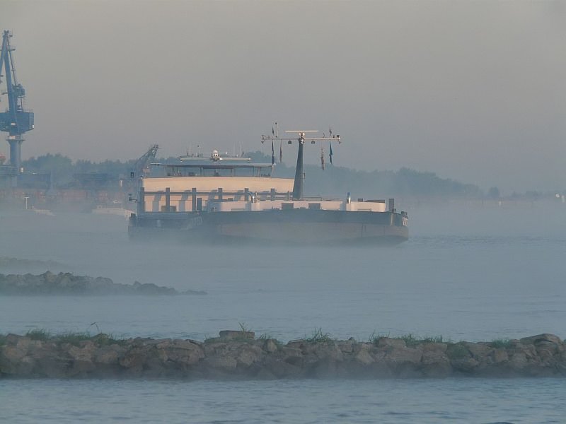 An diesem frischen Samstagmorgen wabert noch Nebel ber den Rhein bei Orsoy. Das Foto stammt vom 16.08.2008