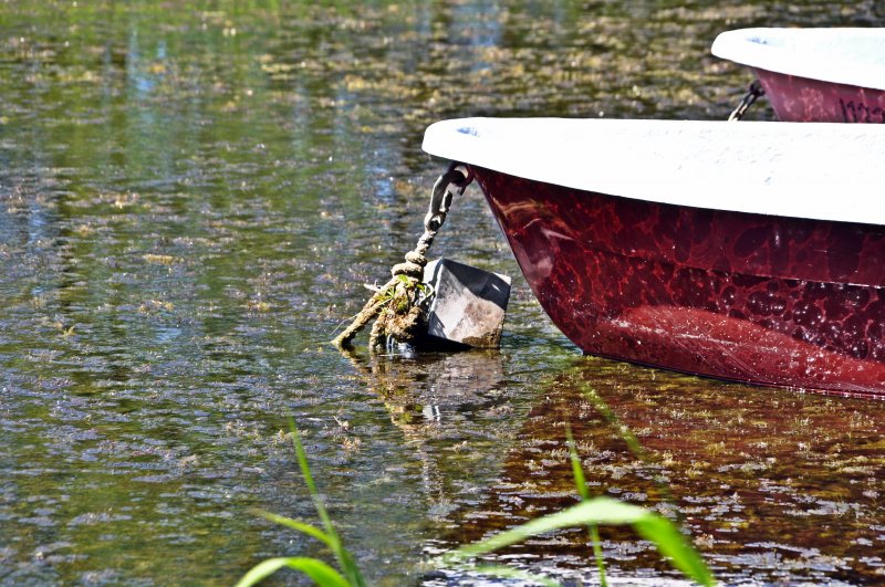 Angelboot im Voigtehger See bei Stralsund