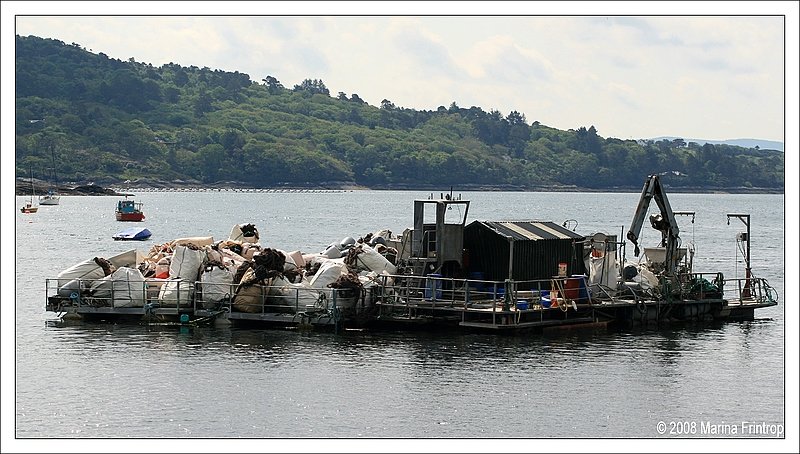 Arbeitsplattform im Hafen von Glengariff, Irland County Cork.