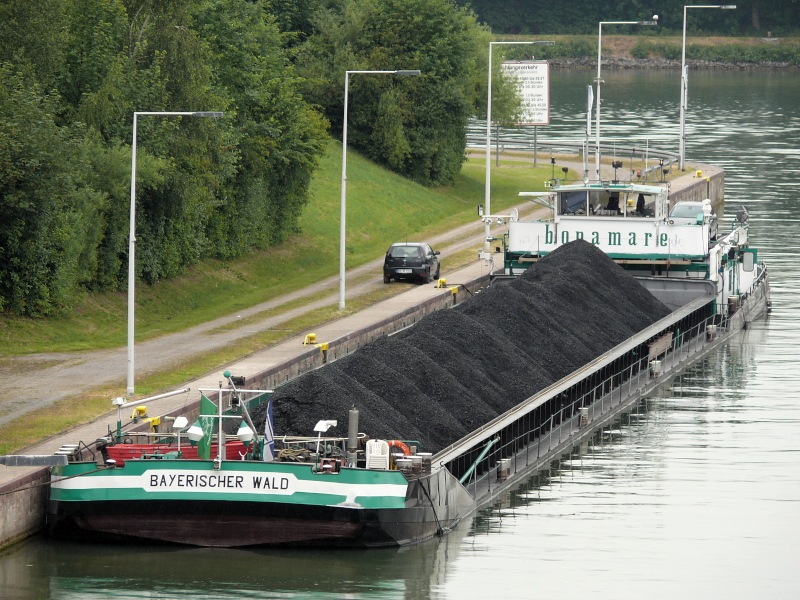  Bayerischer Wald  an der Schleuse Waltrop. 07.06.2009.