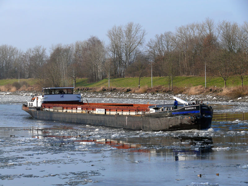 Binnenfrachtschiff HARMONIE (4804310), Duisburg unterwegs fr RHENUS LOGISTICS auf der Elbe unterhalb Geesthacht; 25.01.2009
