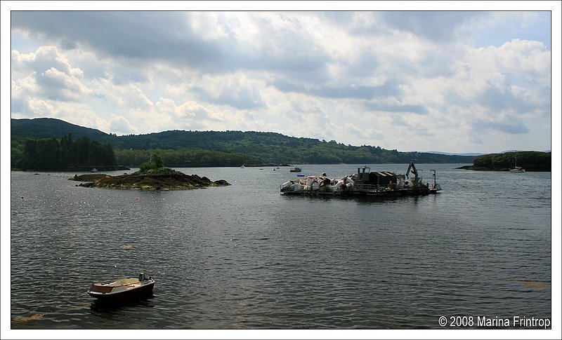 Blick in den Hafen von Glengariff, Irland County Cork