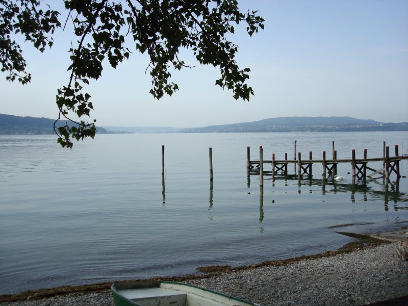 Blick von der Insel Reichenau/Bodensee Richtung Untersee-Rheinabfluss