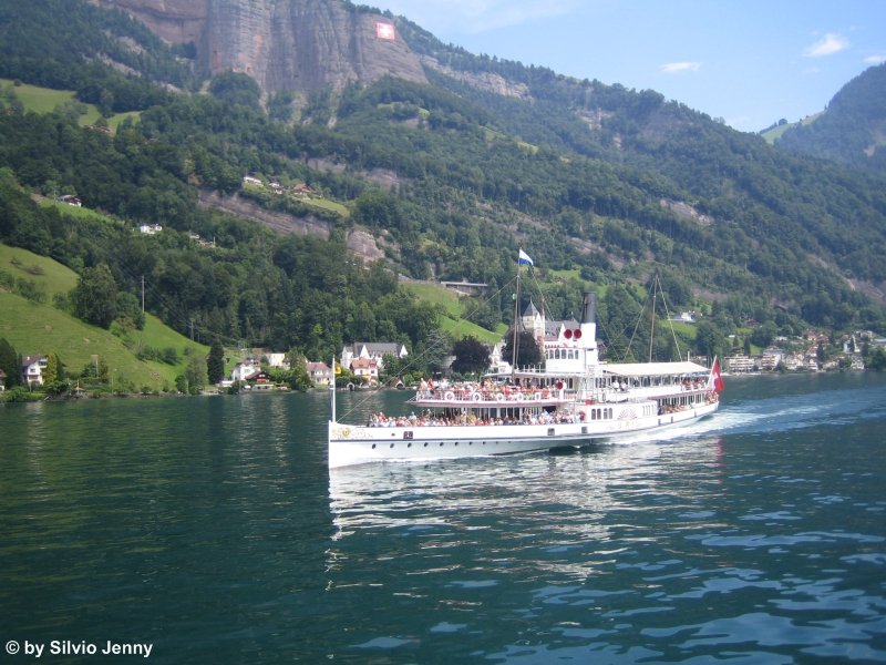 Dampfschiff Uri, erbaut 1901 und somit ltestes im tglichen Betrieb stehenden Dampfschiff Europas, und 2 Mio. zurckgelegten Kilometern. Am 30.7.08 zwischen Vitznau und Weggis. 