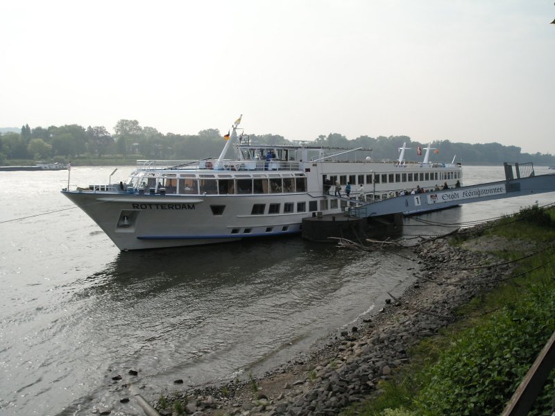 Das Ausflugsschiff Rotterdam auf dem Rhein vor Knigswinter.