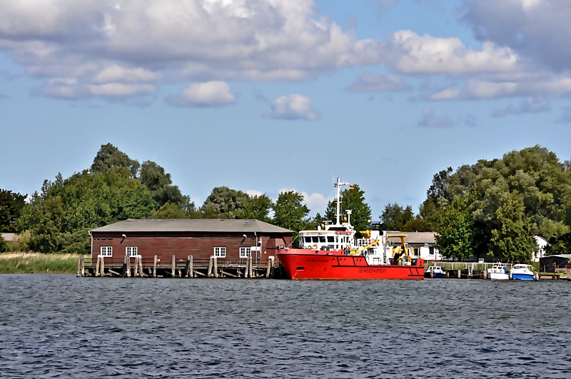 das Gewsseraufsichtsboot  Strelasund  festgemacht am ehem. Steg der Berufsfeuerwehr auf dem Dnholm - Stralsund am 14.08.09