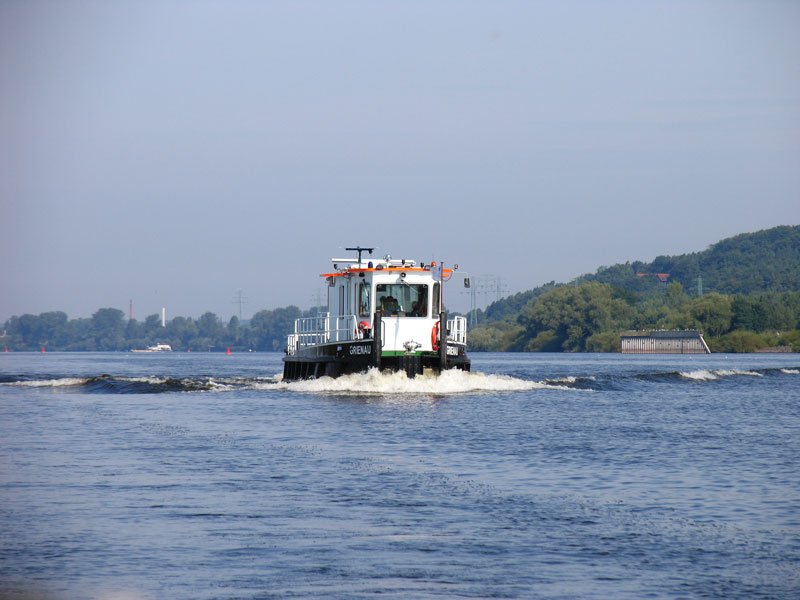 Das kleine Schubboot  GRIENAU  treibt bei seiner Fahrt die Elbe aufwrts eine ziemlich breite Welle vor sich her; bei Geesthacht,07.08.2008
