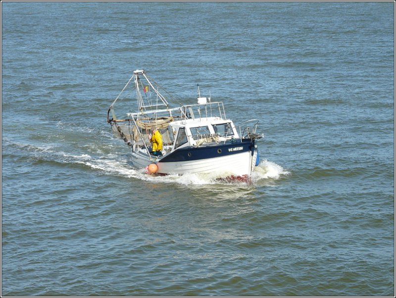 Das kleines Fischerboot DE MEEUW bei der Einfahrt in den Hafen von Oostende fotografiert am 14.09.08. (Jeanny)