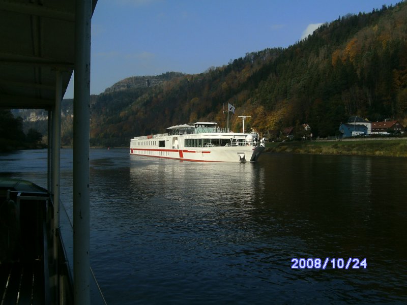 Das Motorschiff  Dresden  am 24.Oktober 2008 bei der Fhrstelle in Schmilka.