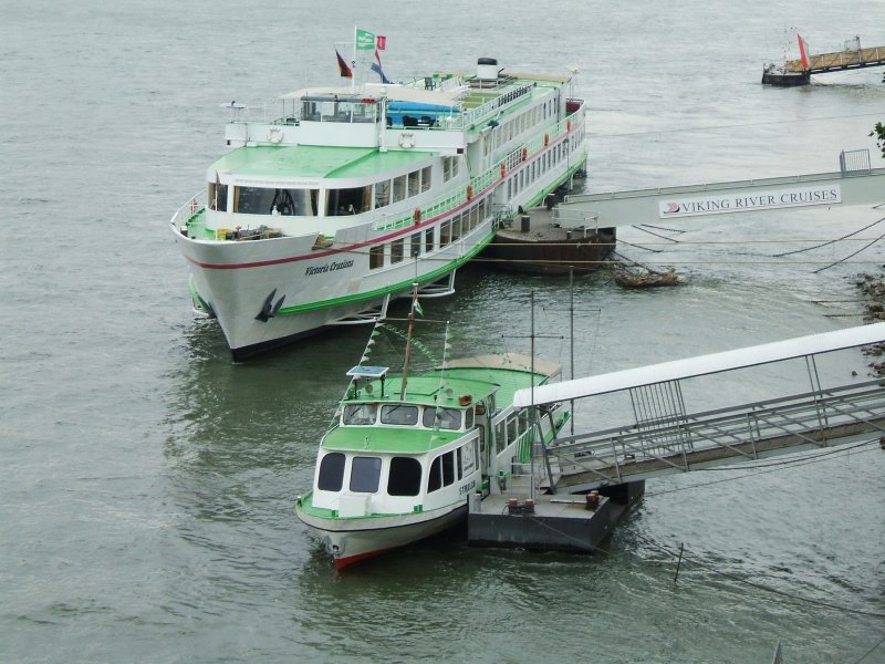 Das Personen-Schiff  Victoria Cruiana  und der kleine Strolch
in Kln unter der Hohenzollern-Brcke am Anleger.(01.09.2007)