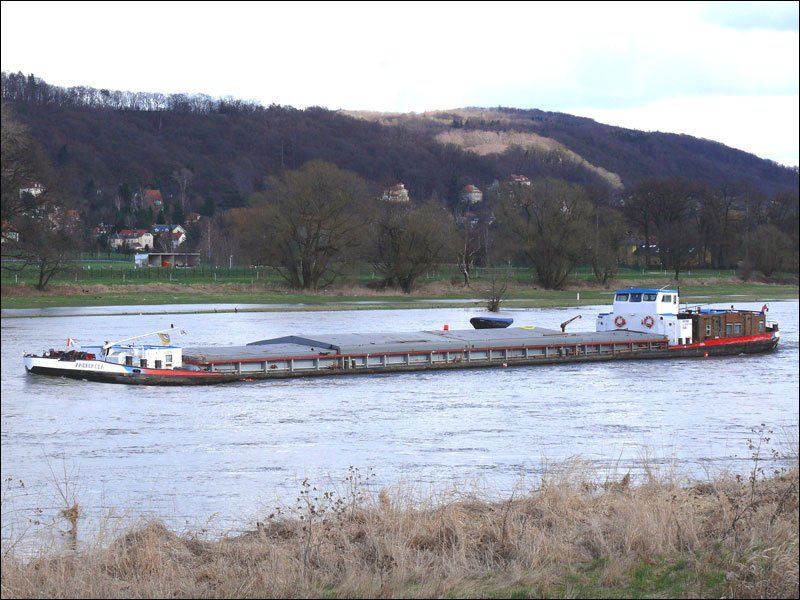 Das tschechische Frachtschiff ANDROMEDA (ex MUSKAU, Baujahr 1963, 7 x 8,20m) aus Decin, ( 09551068 ) die Elbe abwrts bei Dresden-Laubegast, 19.03.2009
