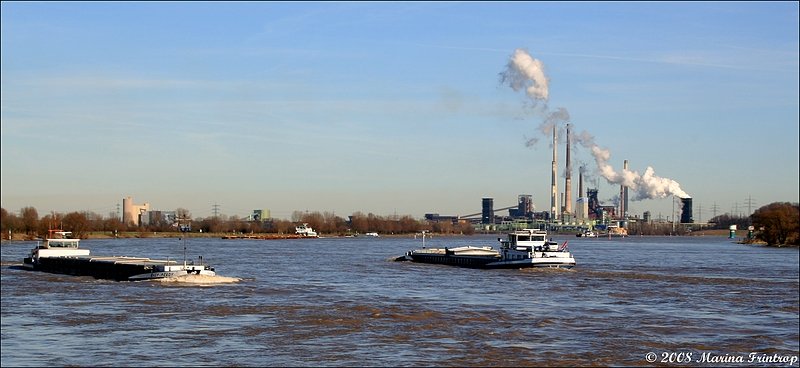 Der Rhein bei Duisburg. Links ist die  Ever Ready  Europa-Nummer 2205117 (Rotterdam/N) flussaufwrts unterwegs, rechts fhrt die  Pauline-Anette  Europa-Nummer 02324800 (Ablasserdam/N) den Rhein flussabwrts in Richtung Carbonaria Kokerei.