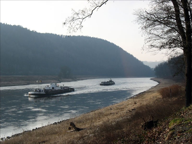 Der tschechische Schlepper TONY, registriert in Praha (Prag) mit einem Kahn im Schlepp die Elbe aufwrts zwischen Wehlen und Kurort Rathen (Schsiche Schweiz), 15.01.2008
