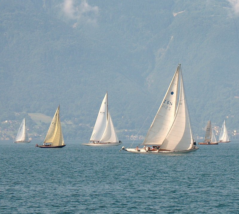 Der Wind treibt die Boote ber das Wasser.
(25.07.2008)