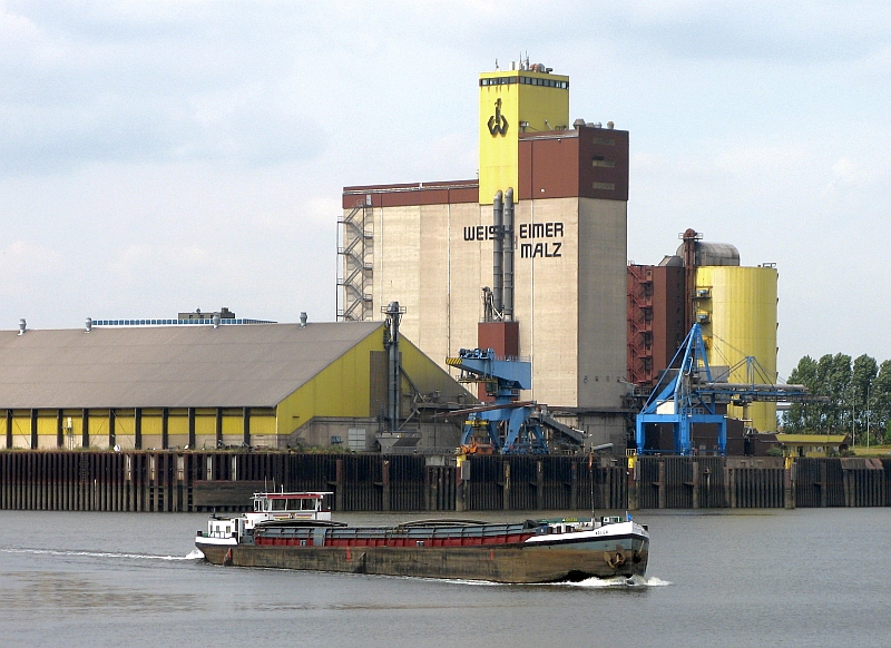 Die  Adler  luft am 31. Juli 2006 in den Bremer Europahafen ein.