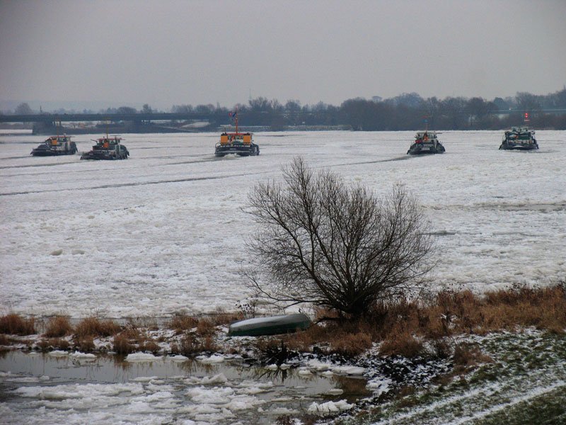 Die Armada der fnf Eisbrecher von links  WISENT -Geesthacht,  STIER -Geesthacht,  BFFEL - Lauenburg,  WIDDER - Geesthacht,  WOLF -Geesthacht auf der Elbe bei Schwinde; 09.01.2009
