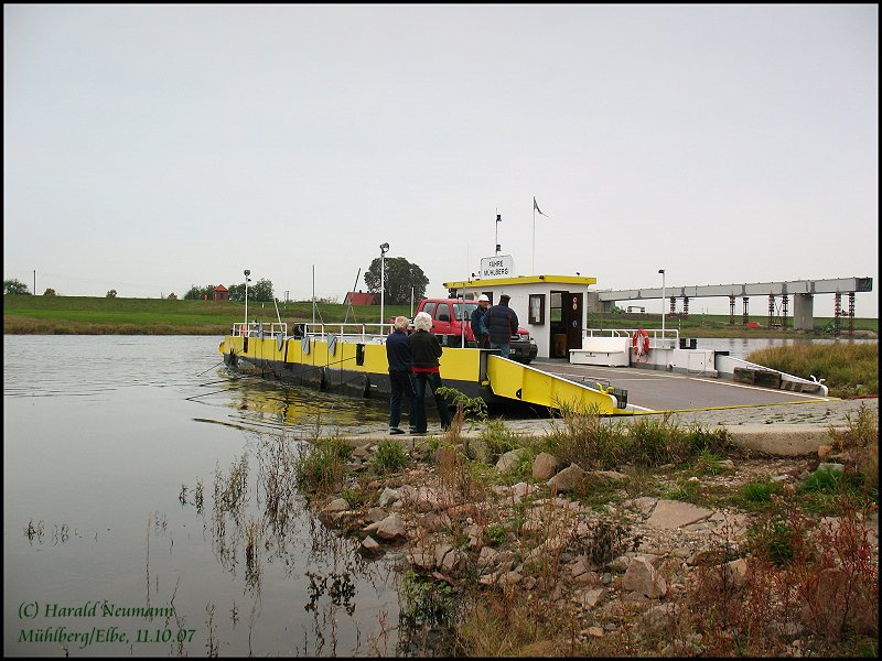 Die Gierfhre in Mhlberg hat angelegt. Im Hintergrund die neue Elbbrcke, die die Fhre arbeitslos macht. Sie wurde jetzt aber unter Denkmalschutz gestellt.