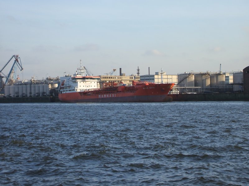 Die Mimmo Ievoli der italenischen Reederei Marnavi am 25.02.2008 im Hamburger Hafen