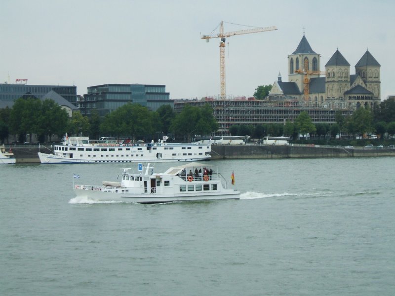 Die  Mwe  in Kln Rhein aufwrts.(01.09.2007) 