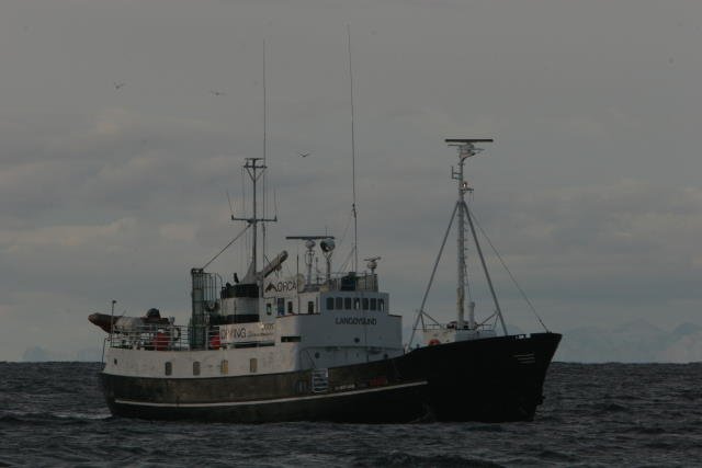 Die M/S  Langya  bei der Orca-Safari im Vestfjorden; 26.10.2005
