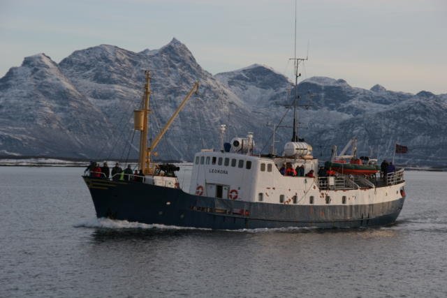 Die M/S  Leonora  beim Einlaufen in den Hafen von Skutvik. Die  Leonora  wurde als Lokalbt an der Finnmarkkste eingesetzt. Heute wird zur Walsafari genutzt. Von Mai-August zur Pottwalsafari ab St und von Okktober-Januar zur Orkasafari ab Skutvik oder Bognes.