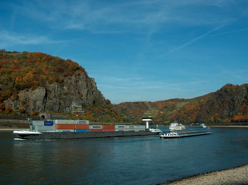 Die  NARVIK  bei St.Goarshausen, Fahrtrichtung Mainz; 10.10.2008